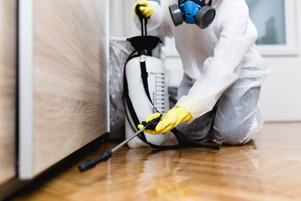 Best Flea Control Services  in West Fargo, ND