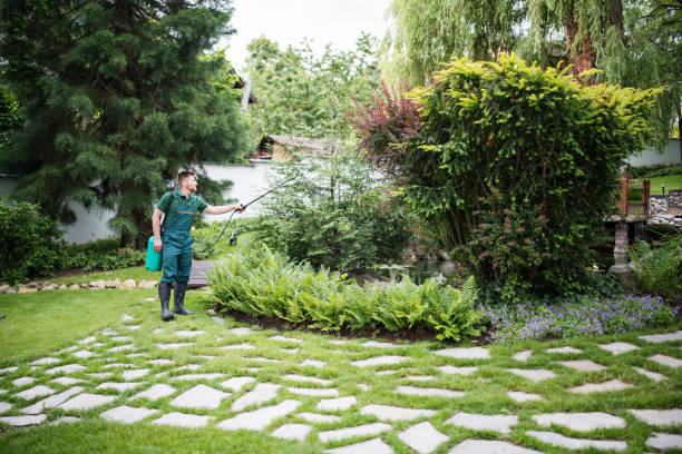 Best Insect Control  in West Fargo, ND