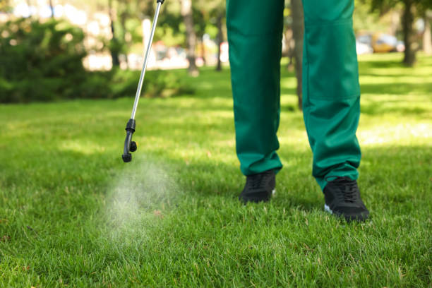 Best Residential Pest Control  in West Fargo, ND