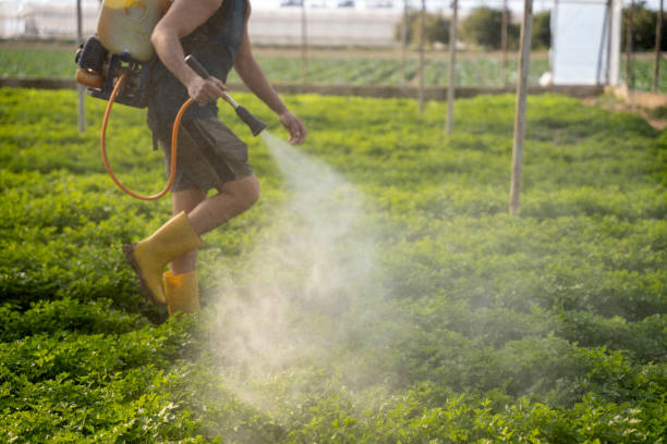 Best Pest Control for Businesses  in West Fargo, ND