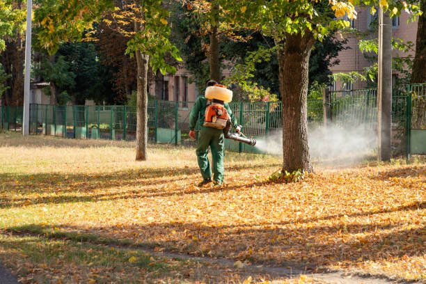 Professional Pest Control in West Fargo, ND