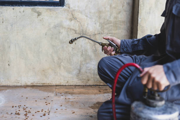 Best Wasp Removal Services  in West Fargo, ND